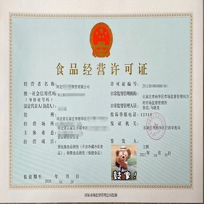 石家莊公司注冊：快至當(dāng)天出證，財(cái)稅代理與分公司注冊服務(wù)