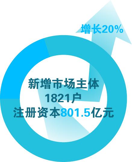 東疆交出半年亮眼答卷 新注冊企業同比增長20%，個體戶注冊再創新高